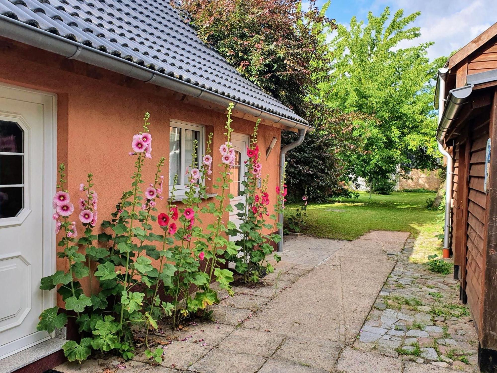 Ferienhaus Moewe Hanshagen  Exteriér fotografie